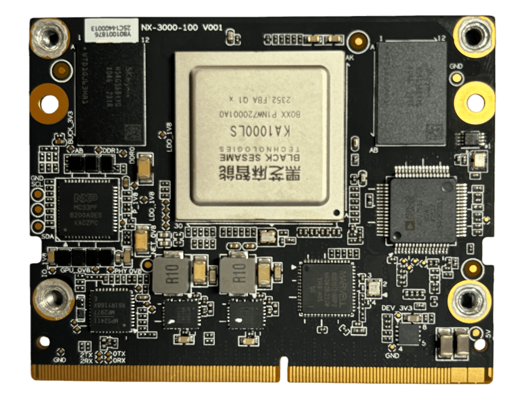 RC01-黑芝麻A1000-0